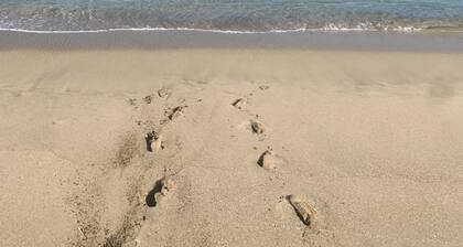 10%Discount week!!! Apt. with electricity, water, A/C, WIFI near Crashboat Beach