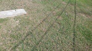 Une zone herbeuse bordée de potelets en béton.