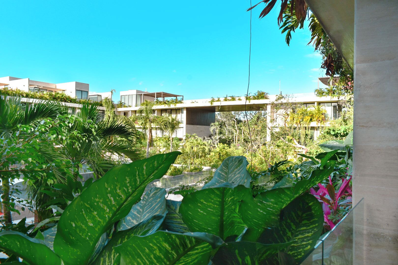 Un hotel moderno con piscina, rodeado de exuberante vegetación y palmeras.