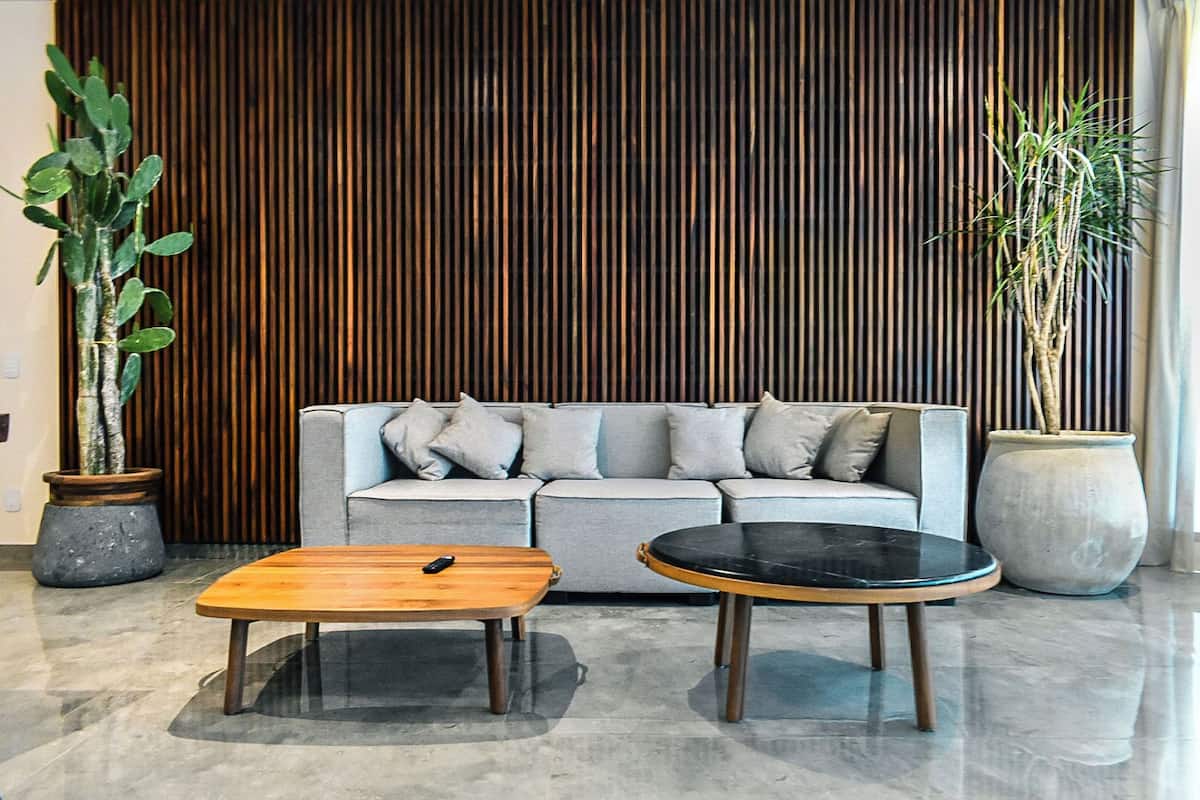 Standard Apartment | Living area