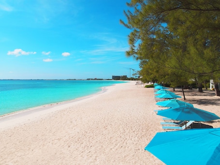 En la playa, arena blanca, sillas reclinables de playa, sombrillas