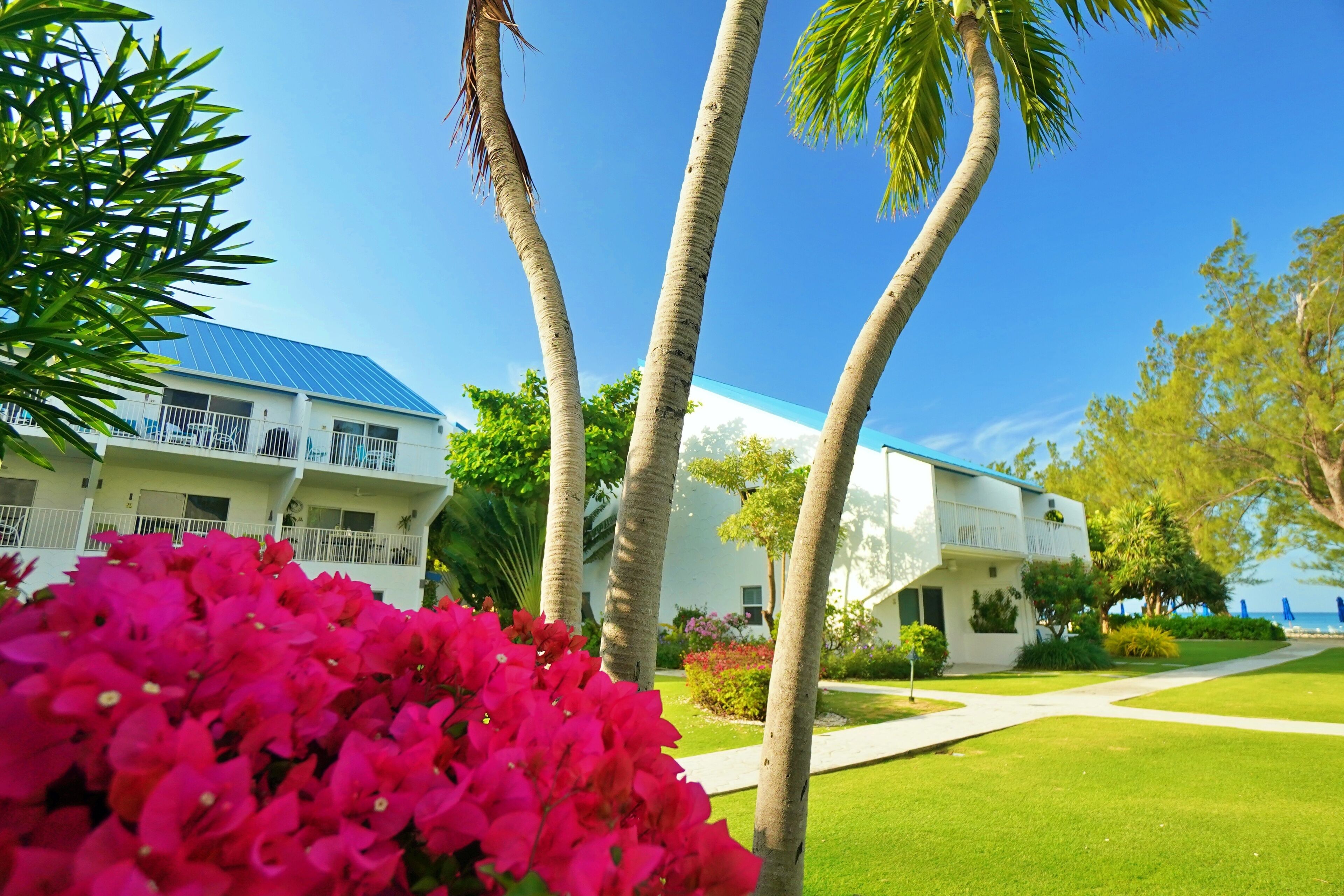 A hotel with a white exterior, a blue roof, and a well-maintained lawn.