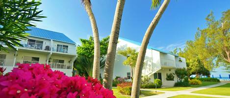 A hotel with a white exterior, a blue roof, and a well-maintained lawn.