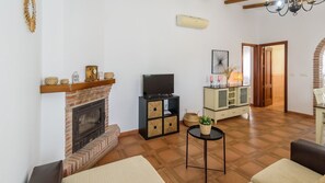 TV, fireplace, DVD player