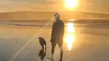 Beach nearby, sun loungers, beach towels