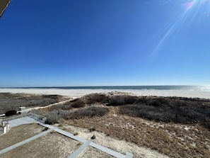 On the beach