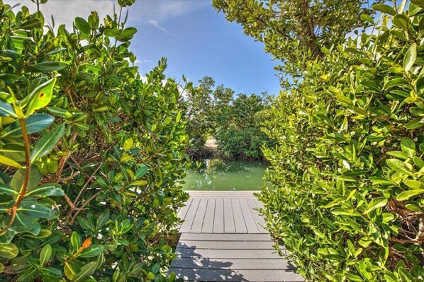 Walk through lush greenery to a serene body of water.