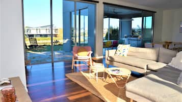 Smart TV, fireplace, video games, DVD player