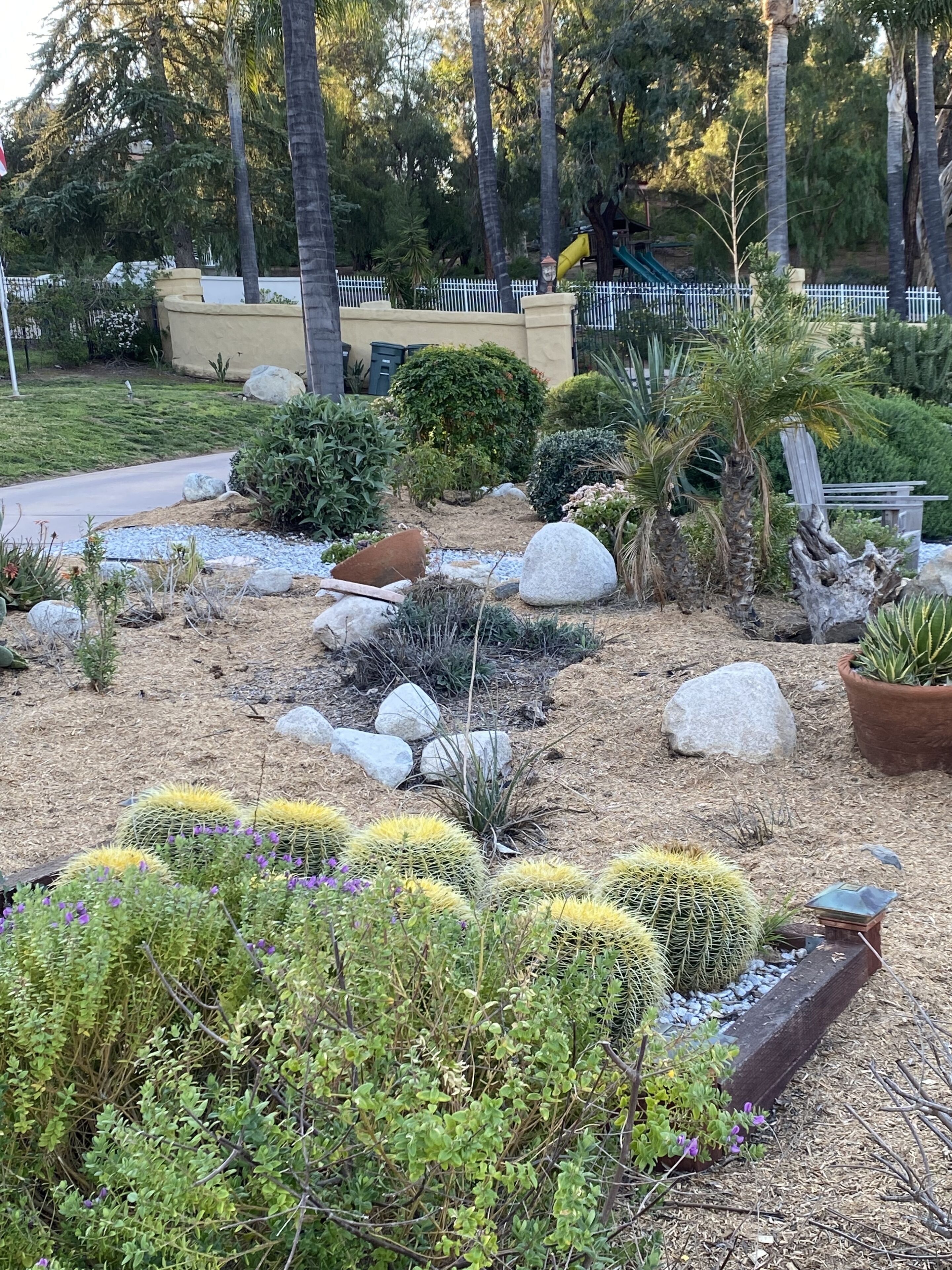A landscaped garden with various plants, rocks, and a wooden bench.