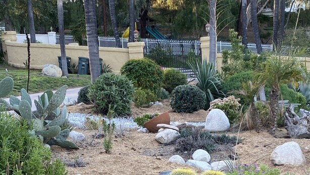 A landscaped garden with various cacti and succulents, a small pathway, and a metal fence in the background.