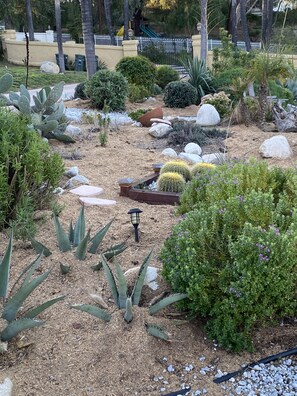 Jardí paisatjístic amb diversos cactus i suculentes, un petit camí i una tanca metàl·lica al fons.