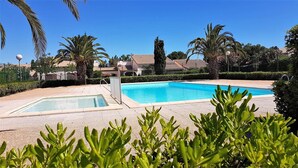 Une piscine divisée en deux zones distinctes, entourée de palmiers et d’une haie.
