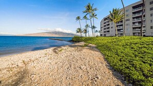 Une plage bordée d’une côte rocheuse, avec des palmiers et un bâtiment doté de balcons.