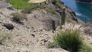 Eine Küstenlandschaft mit Golfplatz, felsigem Gelände und Kakteen.