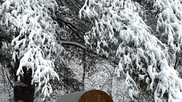 Une cabane en bois dotée d’une entrée circulaire, entourée d’arbres couverts de neige.