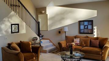 TV connectée, cheminée, lecteur de DVD, livres