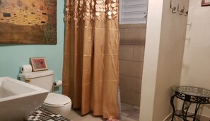 Regadera, secadora de cabello, toallas, jabón