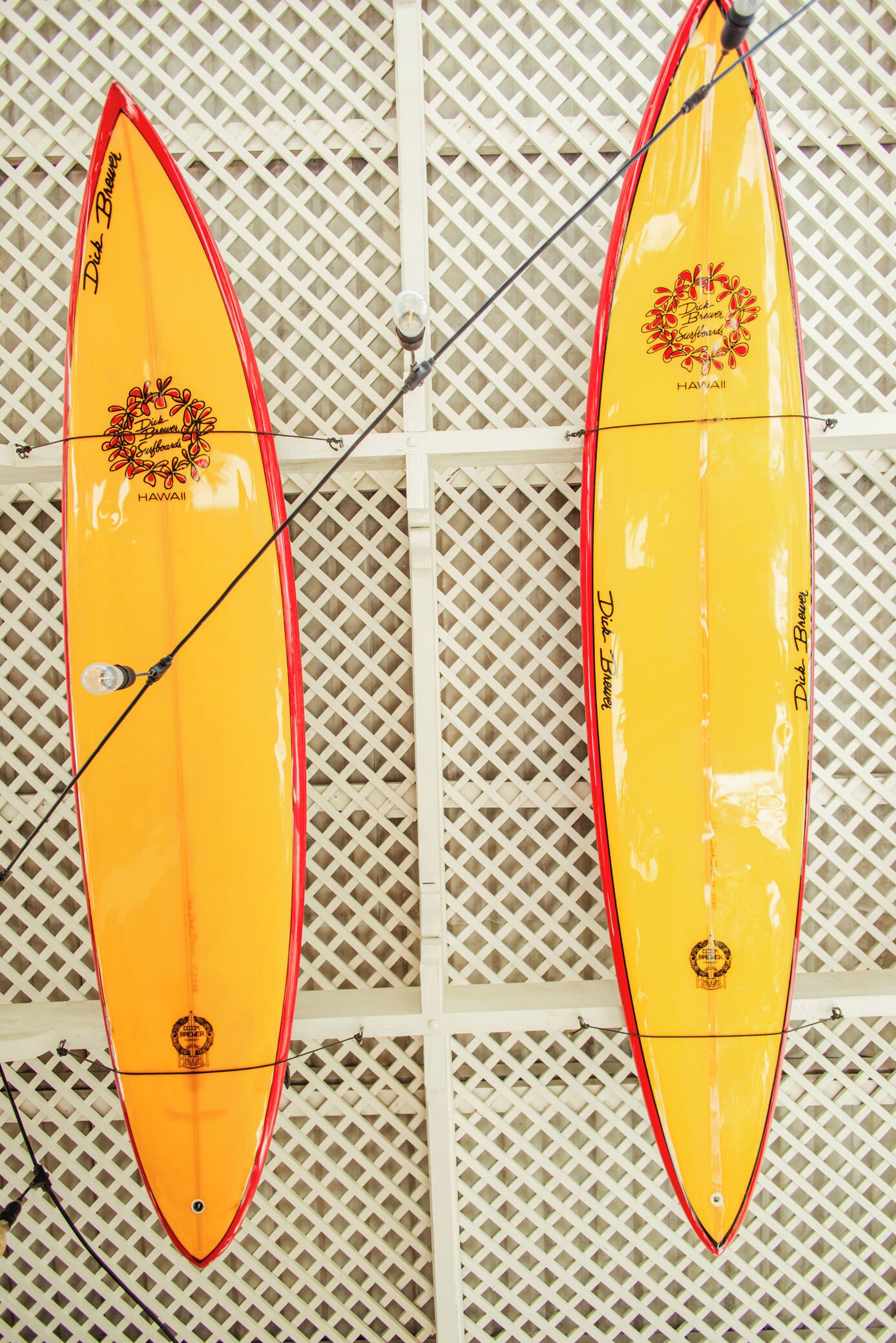 Two yellow surfboards with red outlines and text, hanging against a white lattice wall.