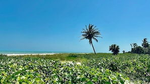Plage à proximité, chaise longue, serviettes de plage