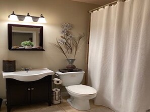 Shower, hair dryer, towels, toilet paper