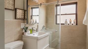 Shower, hair dryer, towels, soap