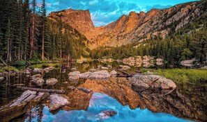 Niet-geclassificeerde afbeelding, 2 van 81, knop