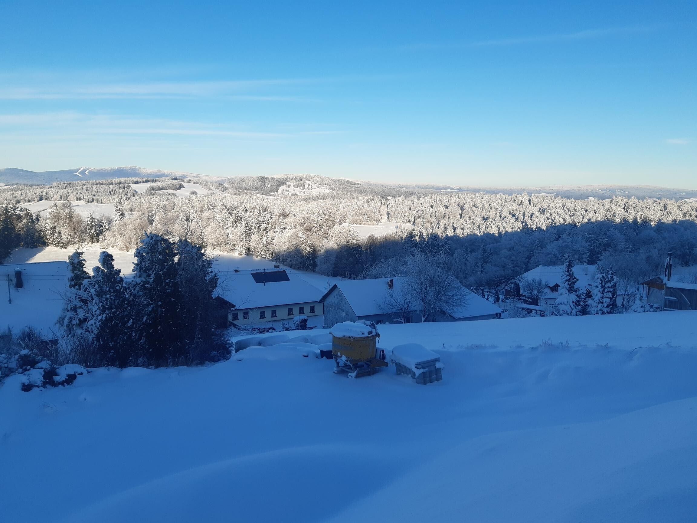 Schneebedeckte Landschaft mit Gebäuden und Bäumen.