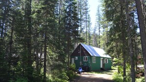 A green cabin with a metal roof, surrounded by tall trees. - Entire Bear Den (cozy cabin) close to Glacier (Essex)