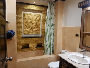Combined shower/bathtub
