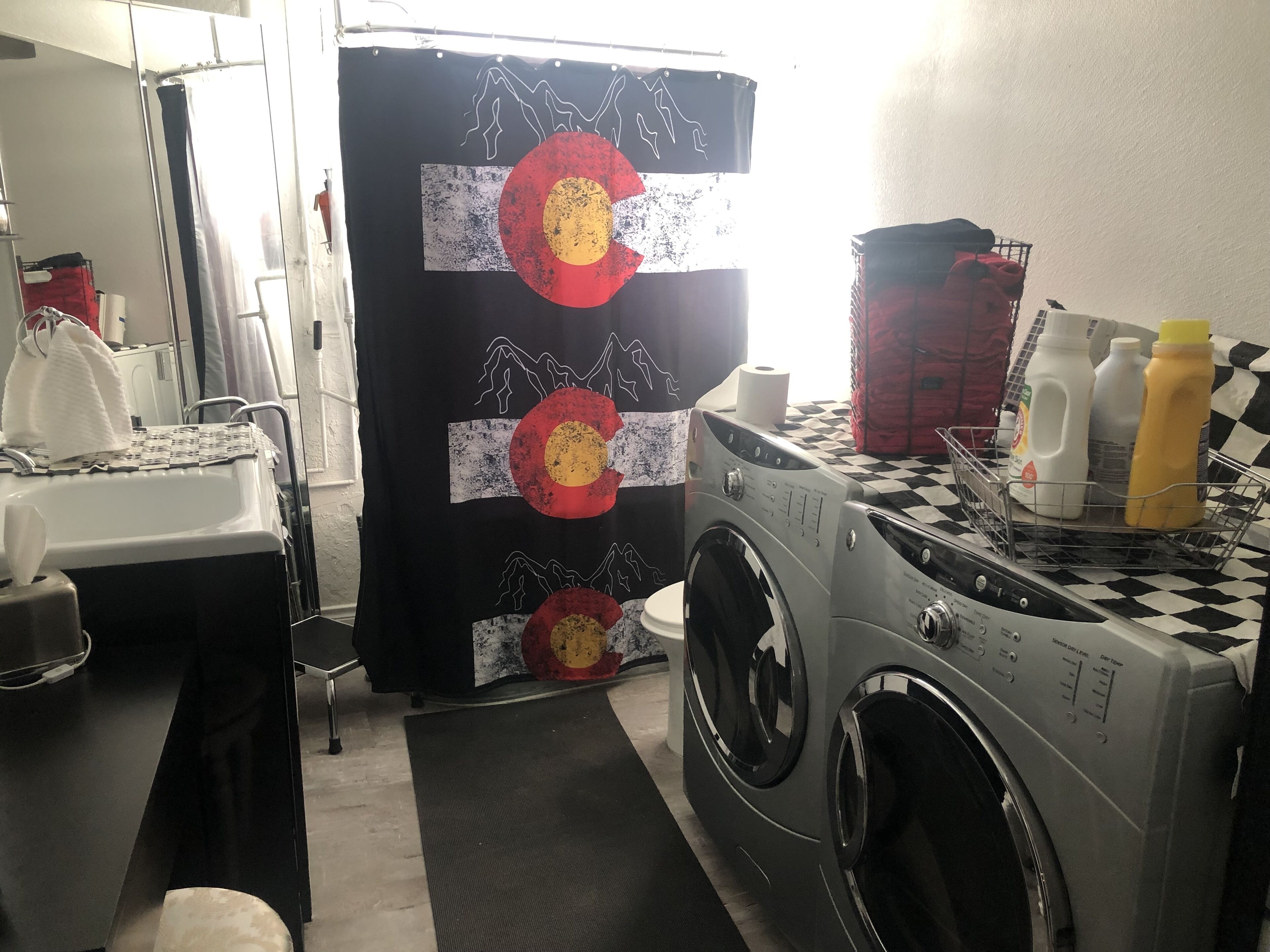 Washer and dryer.  Includes free detergent!
