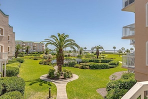 A well-maintained courtyard with a central palm tree, surrounded by neatly trimmed hedges and a pathway leading to the building.