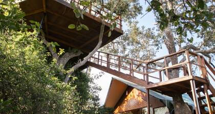 Tribe Yala - Luxury Camping