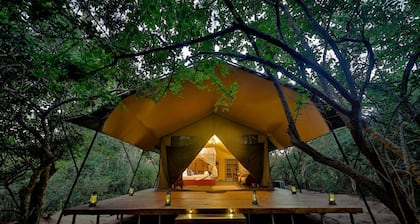 Tribe Yala - Luxury Camping
