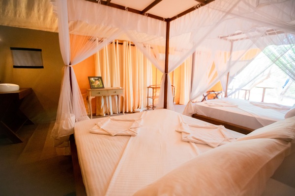 Leopard Tent with Private Pool (10% Off on Wildlife Safaris) | Premium bedding, memory foam beds, desk, laptop workspace