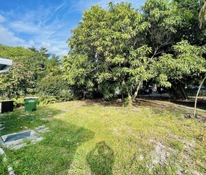 Enjoy a serene outdoor space surrounded by a mature tree and lush greenery.