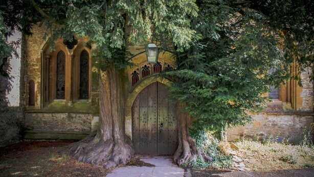 Un edificio antiguo de piedra con un gran árbol en primer plano, una puerta de madera y ventanas arqueadas.