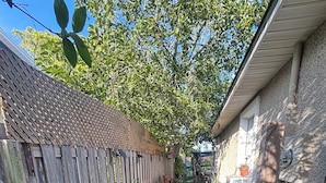 Un estrecho sendero que lleva a una casa con cerca de madera, un pequeño jardín con césped artificial y un muro de piedra.