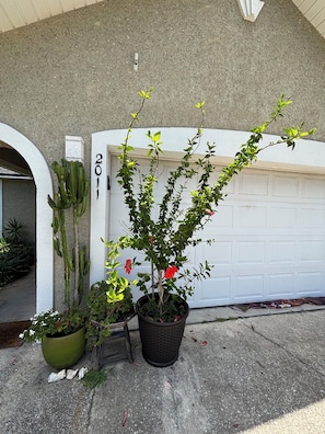 Details aan de buitenkant