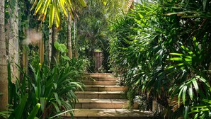 A stone staircase surrounded by lush greenery, leading to an upper level.