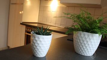 Fridge, stovetop, dishwasher, coffee/tea maker