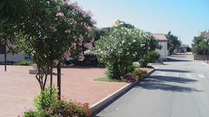 Une rue pavée bordée d’arbustes et d’arbres en fleurs, un ciel dégagé et, au loin, un bâtiment avec un toit recouvert de tuiles.