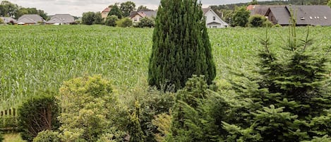 Terrain de lâhĂ©bergement