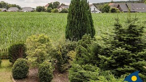 A rural landscape with a field of crops, a tall coniferous tree, and residential houses in the background. - Villa Maria-Gabriele Whg. 09 //- - + Maria 09 (Loddin)