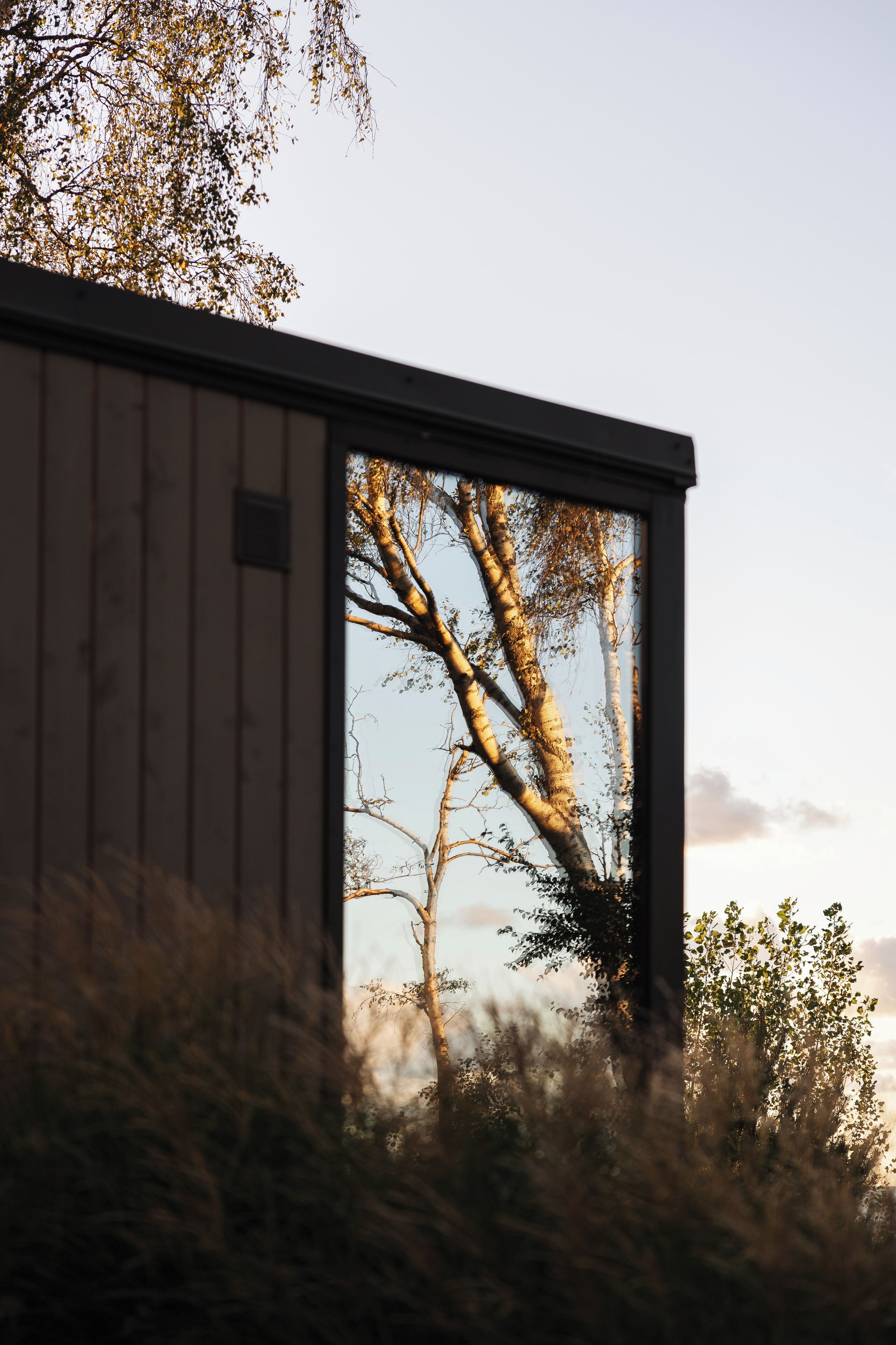 Een gebouw met een groot raam waarop een boom en de lucht te zien is.