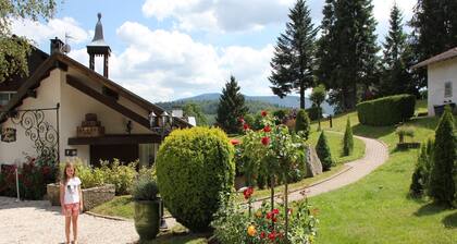 Chalet in France with Pool & Jacuzzi