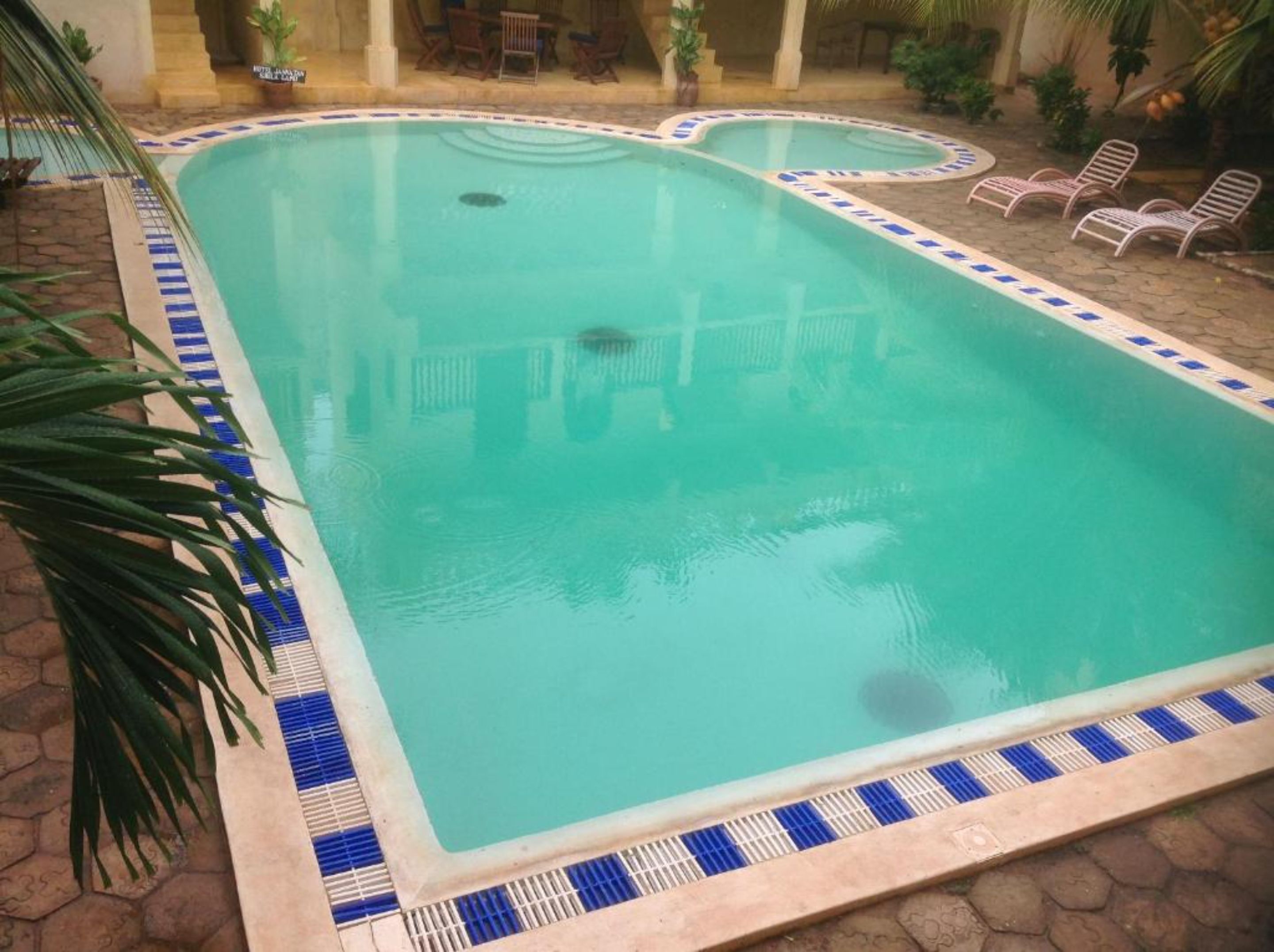Une piscine rectangulaire dont les bords sont recouverts de carreaux bleus et blancs, entourée de chaises longues et de plantes en pot.