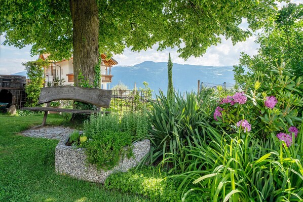 A garden with a stone bench, lush greenery, and a view of mountains.