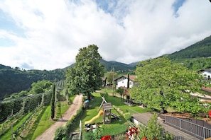 A vineyard with a playground, houses, and a mountain backdrop.