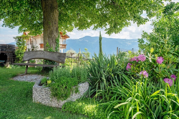 Un jardin avec un banc en pierre, une végétation luxuriante et une vue sur les montagnes.