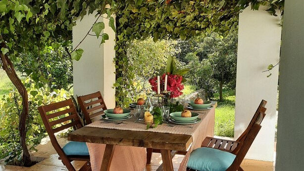 An outdoor dining area with a table set for four, surrounded by wooden chairs with blue cushions, under a canopy of green foliage. - Country House That Welcomes Pets "Finca Can Paci" with Mountain Views (Santa Eulalia)